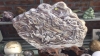 1579006366-multi_product10-img1741.jpg
