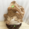 1613363411-multi_product10-img3725.jpg